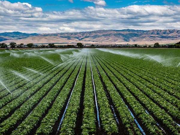 Irigații și agricultură